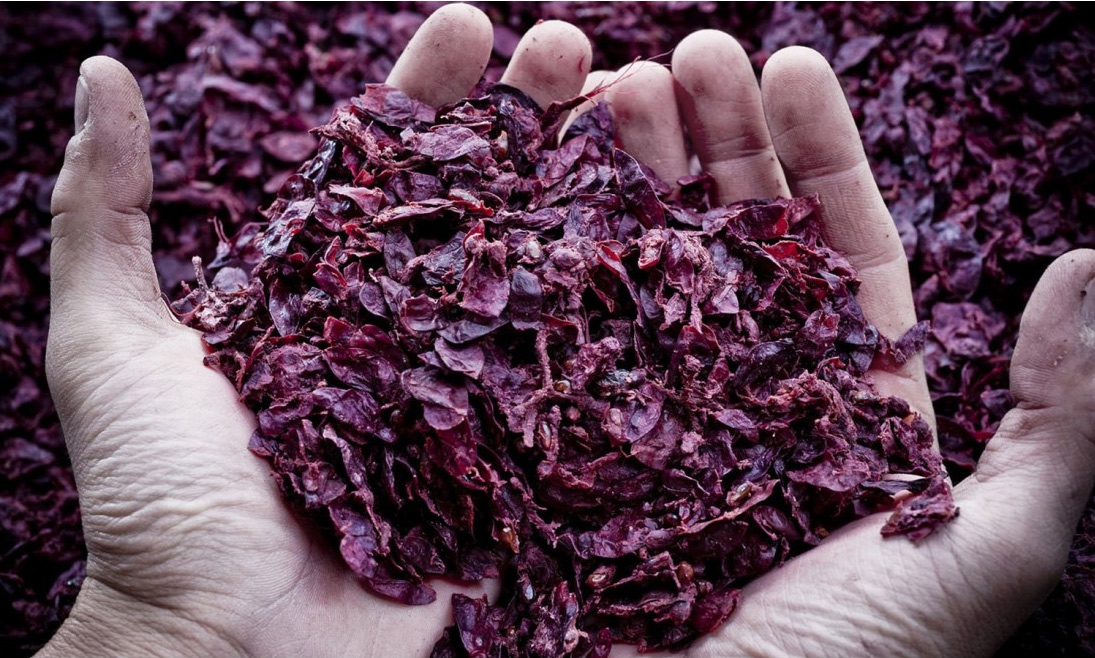 grappa01.jpg?1770006457172