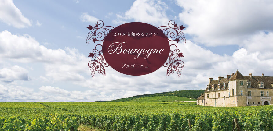 これから始めるワイン Bourgogne ブルゴーニュ
